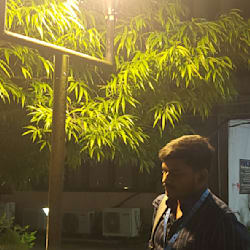 gautam_1124