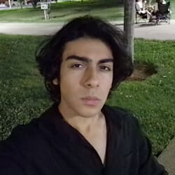phoneix89