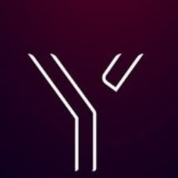 dashyq
