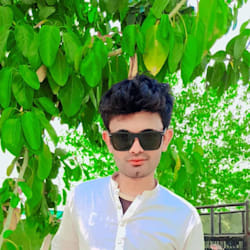 tariq___seo