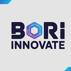 bori_mark