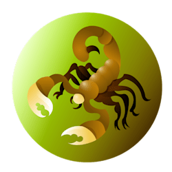 scorphion