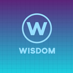 wisdom263i