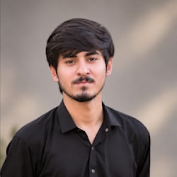 kingahmad7274