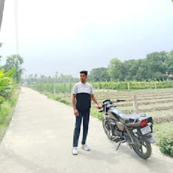 tauheed980