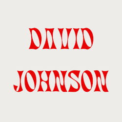 david_johnsons_
