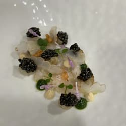 chefgastropro
