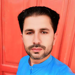 ghulam_abbas5