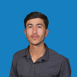 mumtazwali463