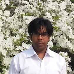 hoque7709