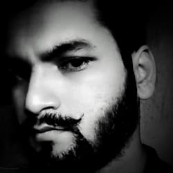absy_zone