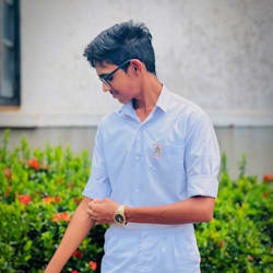 sasinu_d
