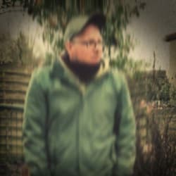 shawn_toolate