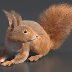 oruidy