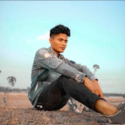 sany317