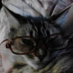 madame_novelist