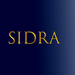 sidrasidra410