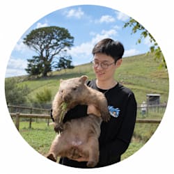 cham_luo