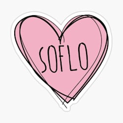 soflowriter