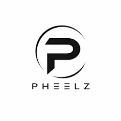 pheelz_wisdom
