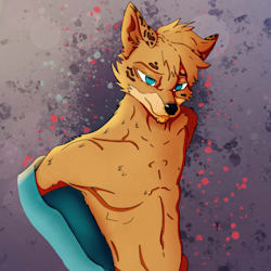beans_draws