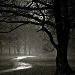 sobanabid26
