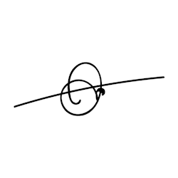 scribble_dsg