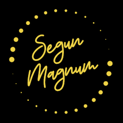 segun_pelumi