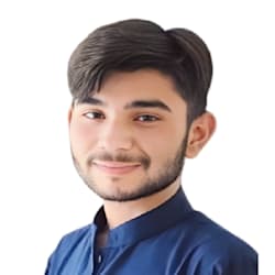 insafali17