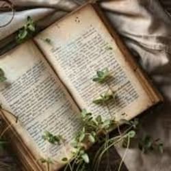 sarahf_reader