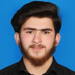 hassanmuhd313