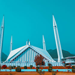 sanwal849