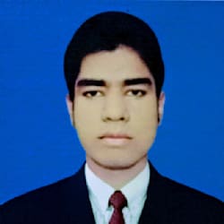 shahidulart