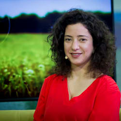maissabisharat