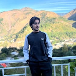 mirfan_seoguru