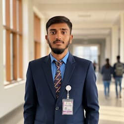 aliameer749