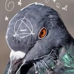 christianpigeon