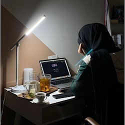 areebafayyaz813