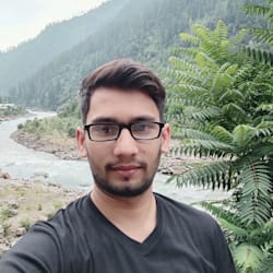 alihamza308