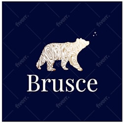 artful_bruce