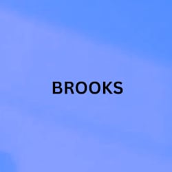brooksmichae753
