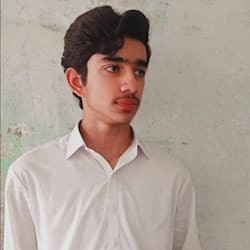 ali_cheena