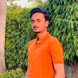 salmancvexpert