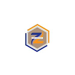 zariservices99