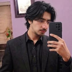 faizanraza2418