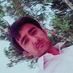 msqmalik