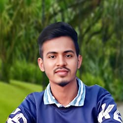 rakib3311