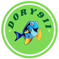dory911