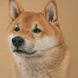 artrfttyxesd