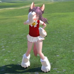 bloodeko